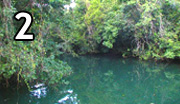 día humedales