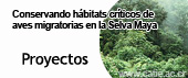 botón proyectos