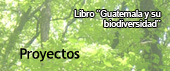 proyectos
