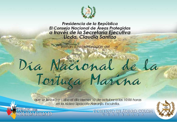 día tortuga marina