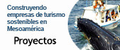 Proyectos