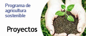 Proyectos