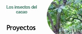 Proyectos