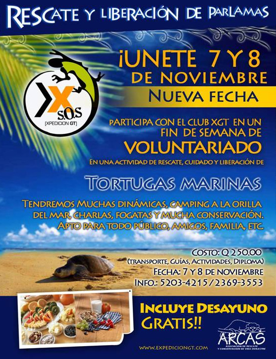 Tortugas