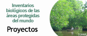 Proyectos