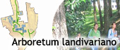 Eeducación ambiental