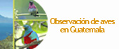 Anuncios