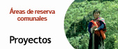 Proyectos
