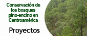Ingrese a proyectos