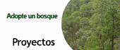 Proyectos