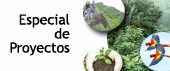 Ingrese a proyectos