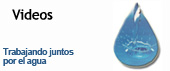 Ingrese a videos