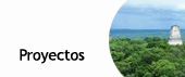 Ingrese a proyectos
