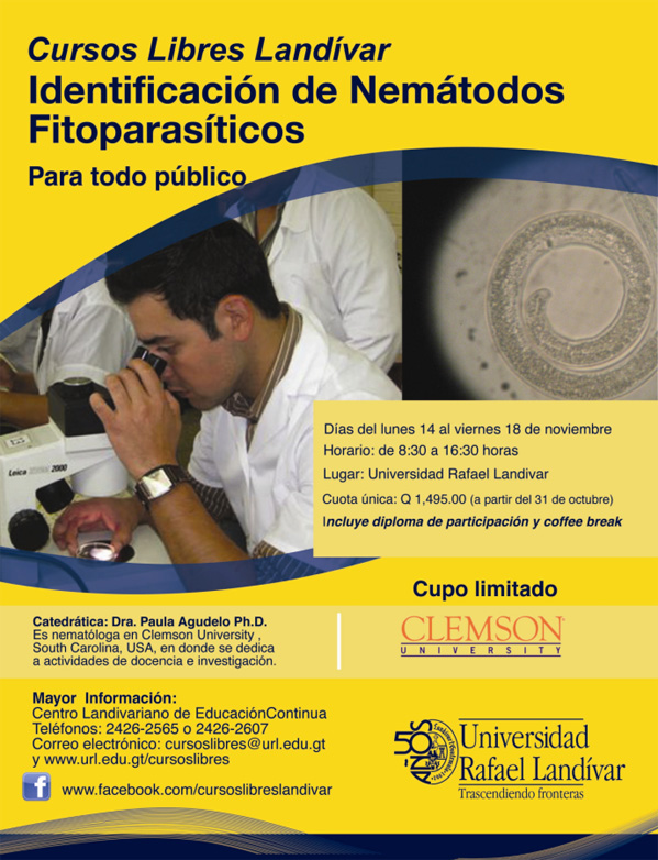 Curso