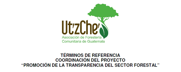 Convocatoria