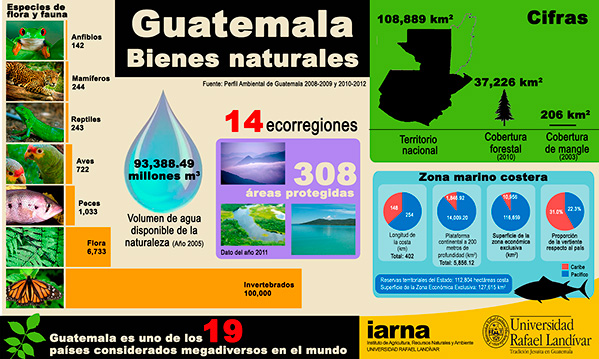 Infografía