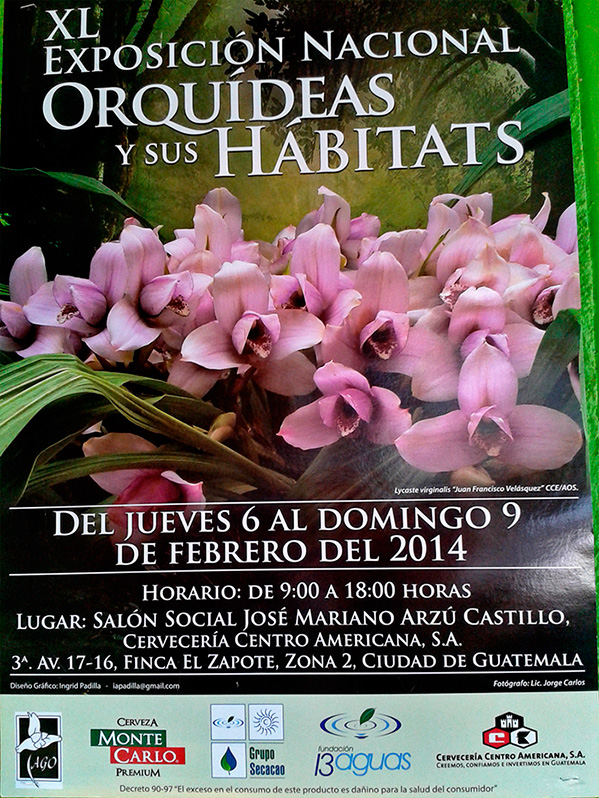 Exposición de orquídeas