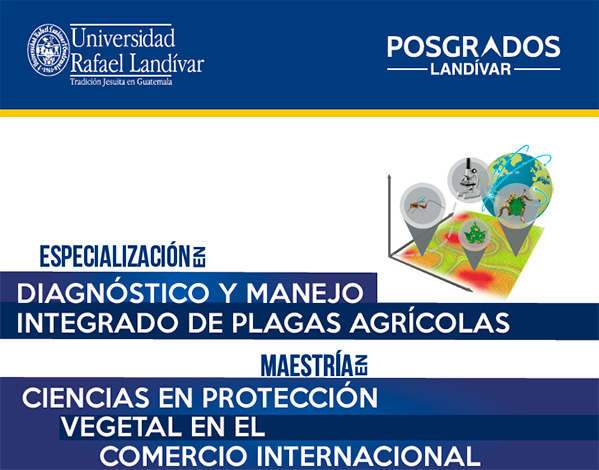 Afiche