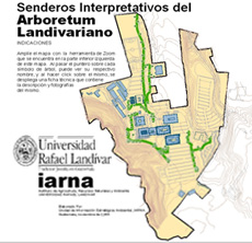 Vea mapa