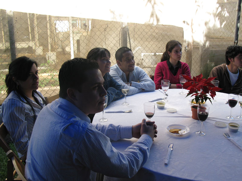 Imagen 016